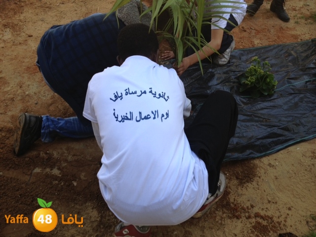 a3malmersatyaffa (23).JPG